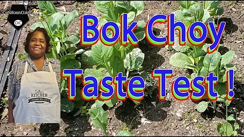 Stir-Fried Bok Choy Taste Test - 19 May 2022