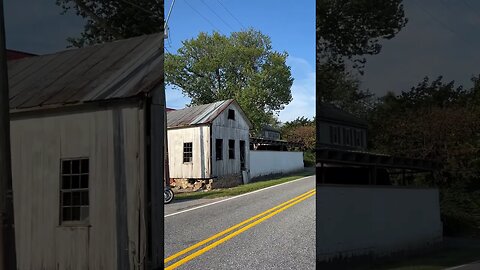 Sorghum, an old barn, and a nosey cow: beautiful #lancastercounty #visitpa #motorcycle