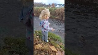 Throwing Leaf in Creek