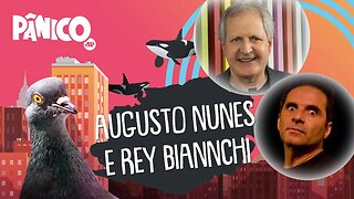 AUGUSTO NUNES E REY BIANNCHI | PÂNICO - AO VIVO - 28/05/20