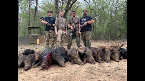 Boar Creek Ranch - 2020 Pig Hunt