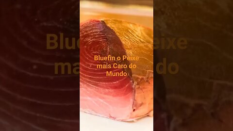 Bluefin o Peixe mais Caro do Mundo