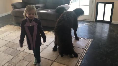 Girl goes to school, dog experiences separation crisis