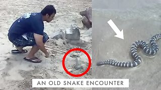 DO THIS if you come across a Snake in India