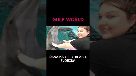 Gulf World Panama City Beach, Florida #shorts