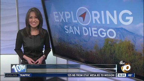 Exploring San Diego: Oscars parties, theatre week, and Harlem Globetrotters