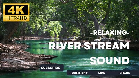 4K Forest Stream Relaxing River Sounds For Studying with Bird