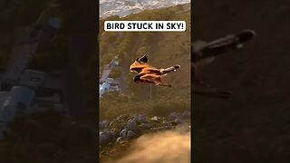 BIRD STUCK IN SKY!