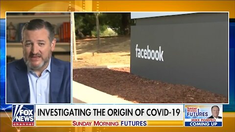 Cruz: Facebook Was Censoring COVID-19 Info On Behalf of the Government