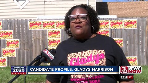 Congressional candidate profile: Gladys Harrion