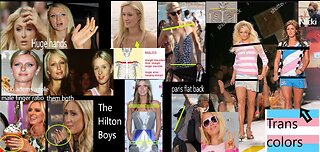 Mr Paris Hilton