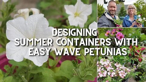 Designing Summer Containers with Easy Wave Petunias 😎🌿