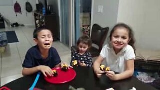 Little boy is sick of being the only brother in the house