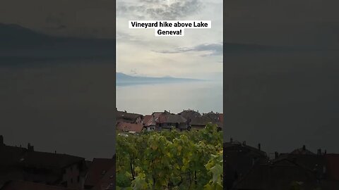 Beautiful Vineyard hike above Lake Geneva! Stunning!