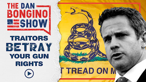 RINO Traitors Betray Your Gun Rights