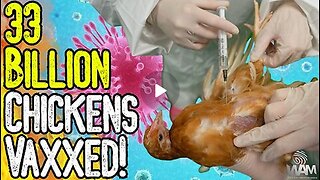 33 BILLION CHICKENS VAXXED! BIRD FLU HOAX - Avoid The Pharma Poisoned Food Supply