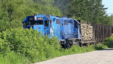 Huge Load Of Pulpwood, An Entire Forest Rocking On This Freight Train Today! | Jason Asselin