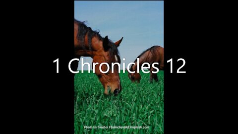 1 Chronicles 12 | KJV | Click Links In Video Details To Proceed to The Next Chapter/Book