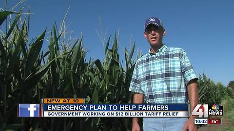 Local farmers affected by tariffs to get relief