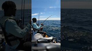 How to catch the fast growing fish in the ocean!