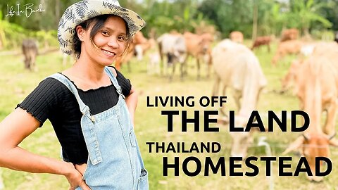 This Is How The Locals Make Money - Homesteading Family Thailand 🇹🇭 (แปลไทย)