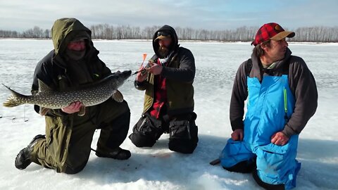 Northern Pike on Lake of the Woods