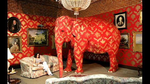 L'elefante nel salotto - 13 maggio 2024