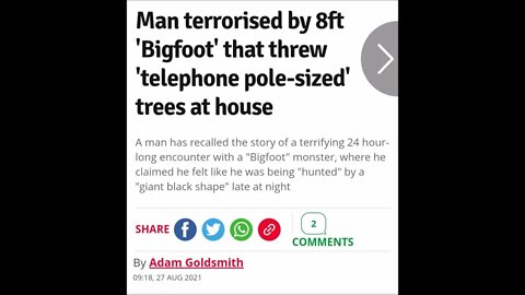 Bigfoot Throws Telephone Sized Trees At House Paranormal News
