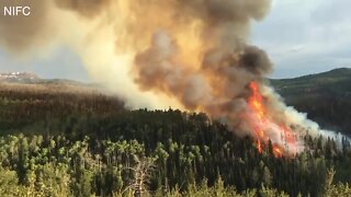 U of I project aims to teach people about wildfires through story telling