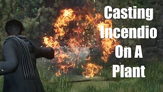 Hogwarts Legacy Casting Incendio On A Plant (Casting Spells)