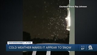 Graupel in South Florida, Treasure Coast has residents confusing it for flurries