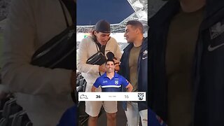 Canterbury Bulldogs Fan Interviews #nrl #rugbyleague