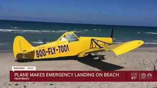 Small plane makes emergency landing on Palm Beach