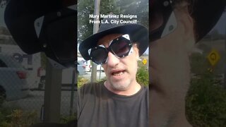 Racist Bigot Nury Martinez Resigns From Los Angeles City Council!