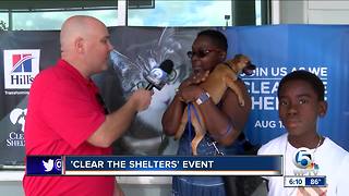 "Clear the Shelters" animal adoption event held on Saturday