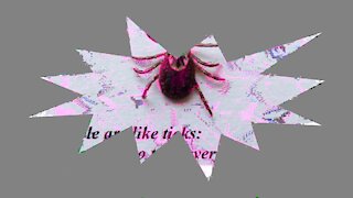 Some people are like ticks, they lean on you! [Quotes and Poems]