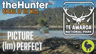 The Hunter: Call of the Wild, Picture (Im)Perfect, Te Awaroa- PS5 4K