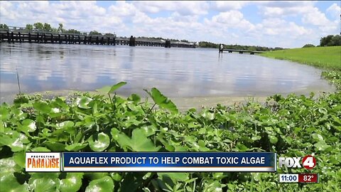New technology to help remove toxic algae in Southwest Florida