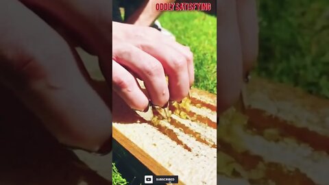 Best Oddly Satisfying Video for Stress Relief #oddlysatisfying #asmr #honey #honeycomb #honeybee