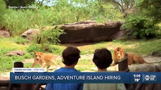 Busch Gardens, Adventure Island hiring to fill more than 500 positions