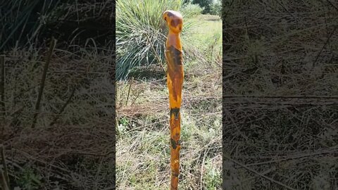 my first Hand Carved walking stick