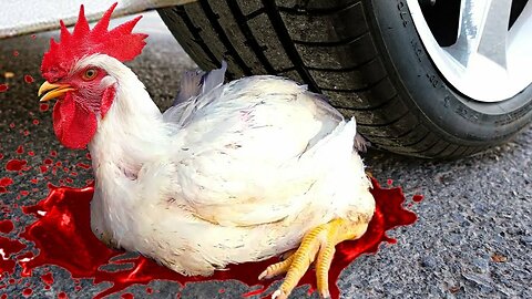 Experiment: Car Vs Motu Patlu Hen Chicken | Crushing Crunchy & Soft Things By Car
