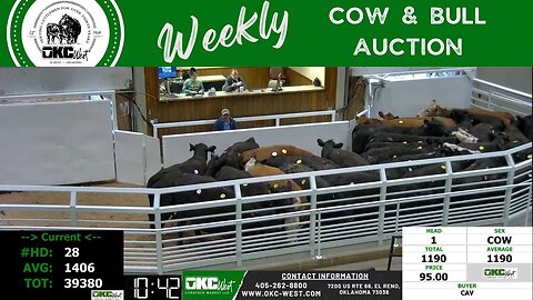 3/13/2023 - OKC West Weekly Cow & Bull Auction