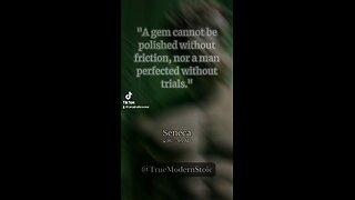 Seneca stoic quotes for the true modern stoic