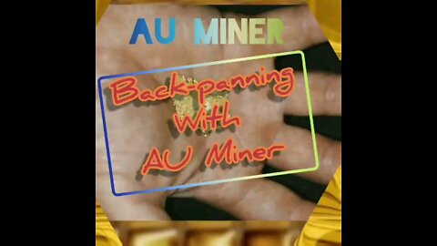 Back Panning Gold w/ AUMiner