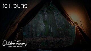 Soothing Rainy Night in a Tent in the Forest || Thunder & Rainstorm Ambience | RELAX | STUDY | SLEEP