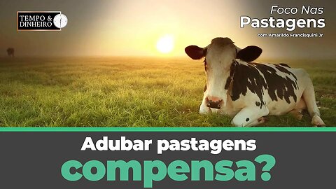 Adubar pastagens compensa? Esse é o tema de hoje de Foco nas Pastagens