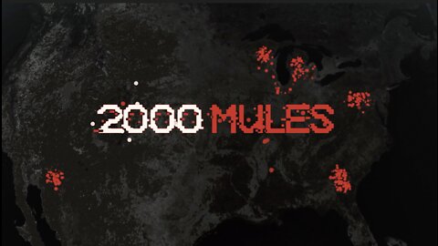 "2000 Mules" Trailer