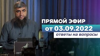 Прямой эфир №202 03.09.2022