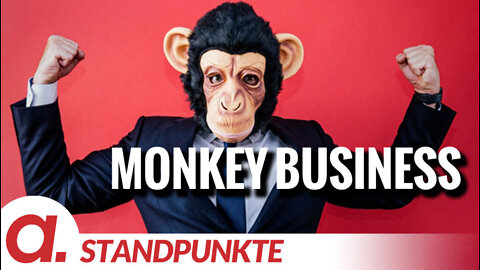 Monkey Business | Von Paul Schreyer